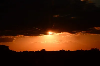 DSC_9728 (Large).JPG